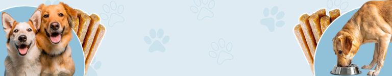 Are Sweet Potato Fries Good for DogsA Messy, Honest Guide